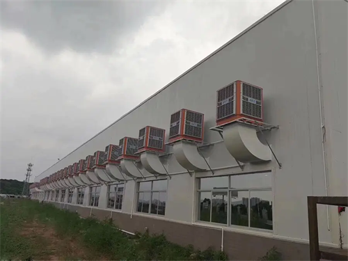 冷<font color='red'>風(fēng)機</font>原理是什么,冷<font color='red'>風(fēng)機</font>原理介紹